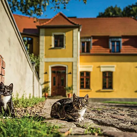 Nyaraló Lovely In With Wifi Wolin