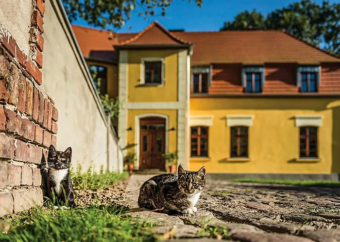 Сasa de vacaciones Lovely In With Wifi Wolin